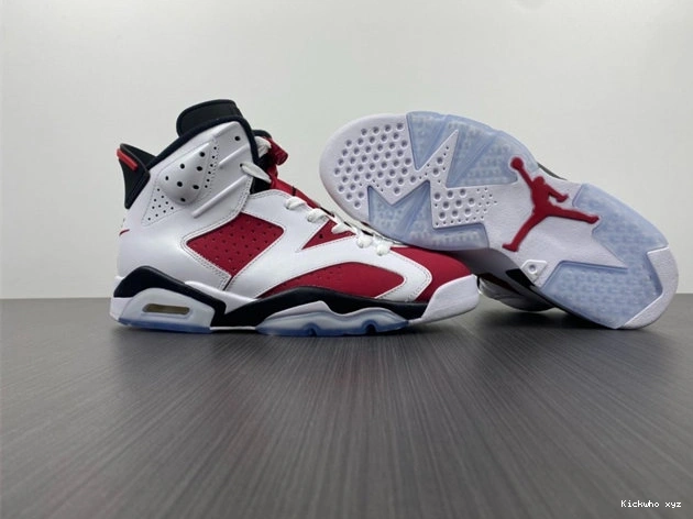 Carmine CT8529- Sleek 4032  Jordan6 1029